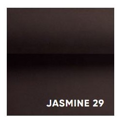 JASMINE 29