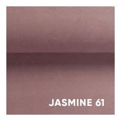 JASMINE 61