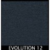 EVOLUTION 12