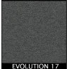 EVOLUTION 17