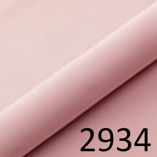 VENUS 2934
