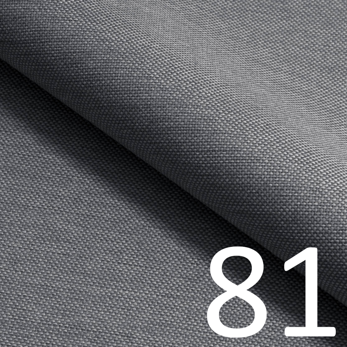 81