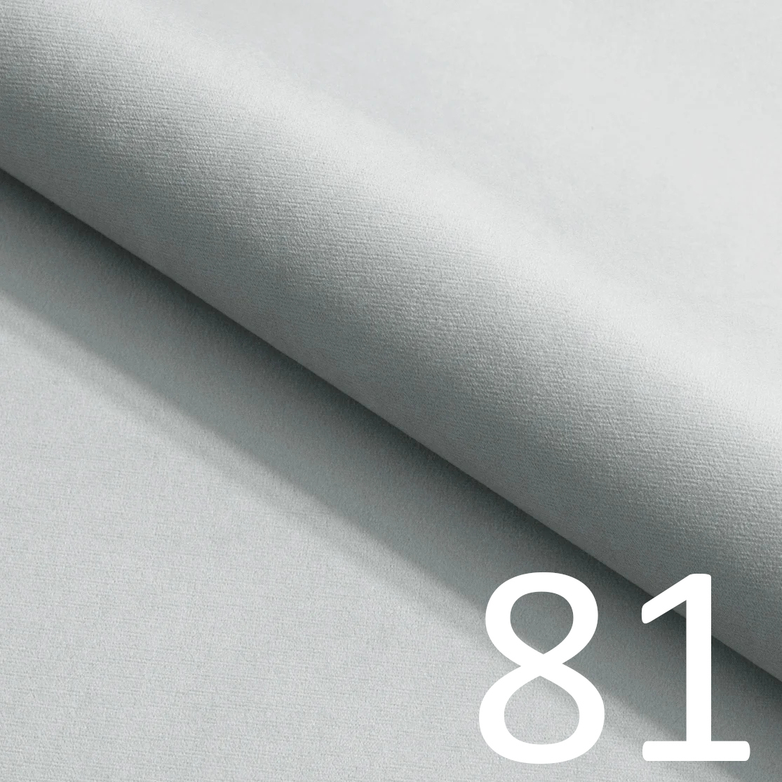 81