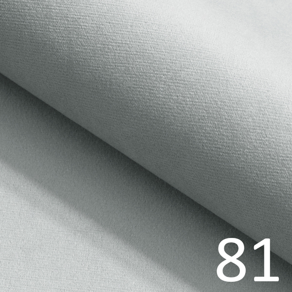 81