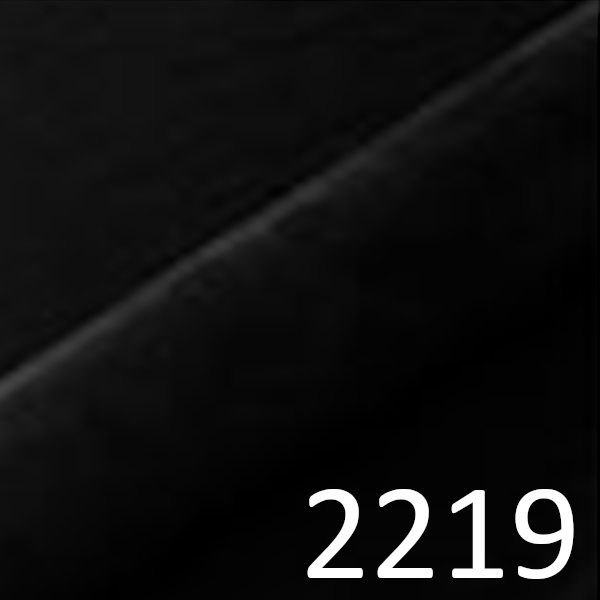 2219