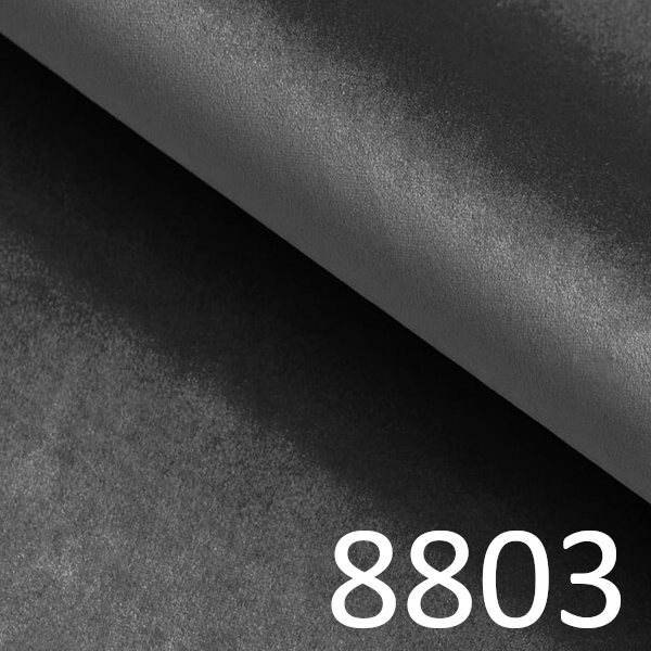8803