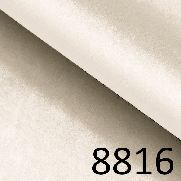 8816