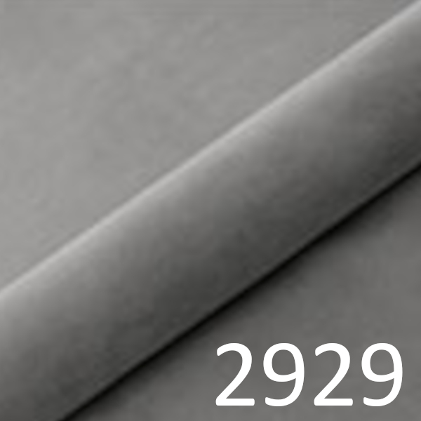 2929