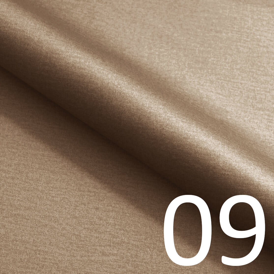 09